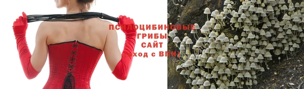 твердый Балахна