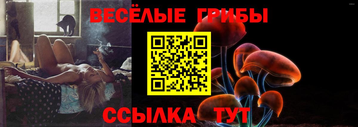 Псилоцибиновые грибы GOLDEN TEACHER  Псилоцибиновые грибы Magic Shrooms  Вход с VPN  Новый Уренгой 
